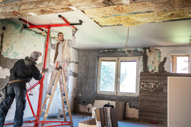 Best Specialized Insulation Services in Troy, MO
