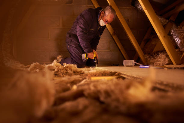 Best Cellulose Insulation in Troy, MO